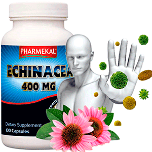 Echinacea 400mg  -  100db